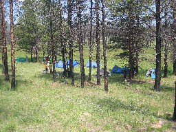 Campsite at Iris Park