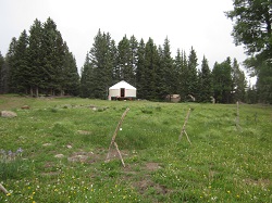 Staff Yurt