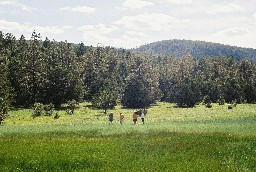 The meadow at Vaca