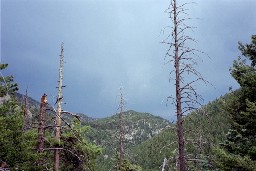 View from Lambert's Mine